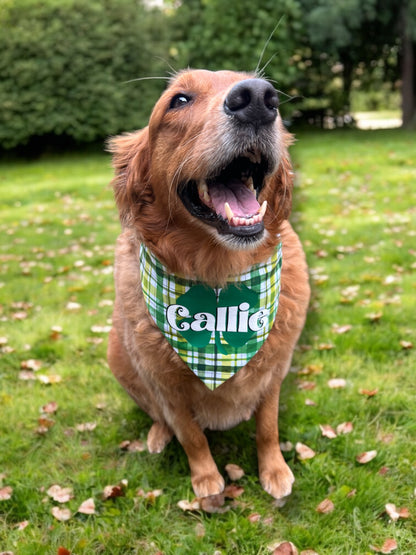 Lucky Era Bandana 🍀 | Luck of the Pup Collection