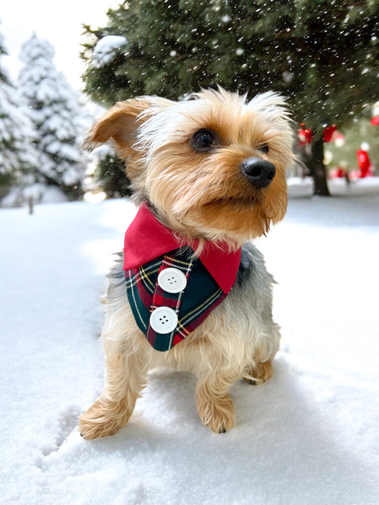 Noel Bandana | Wrapped in Boulevard Collection 🎄