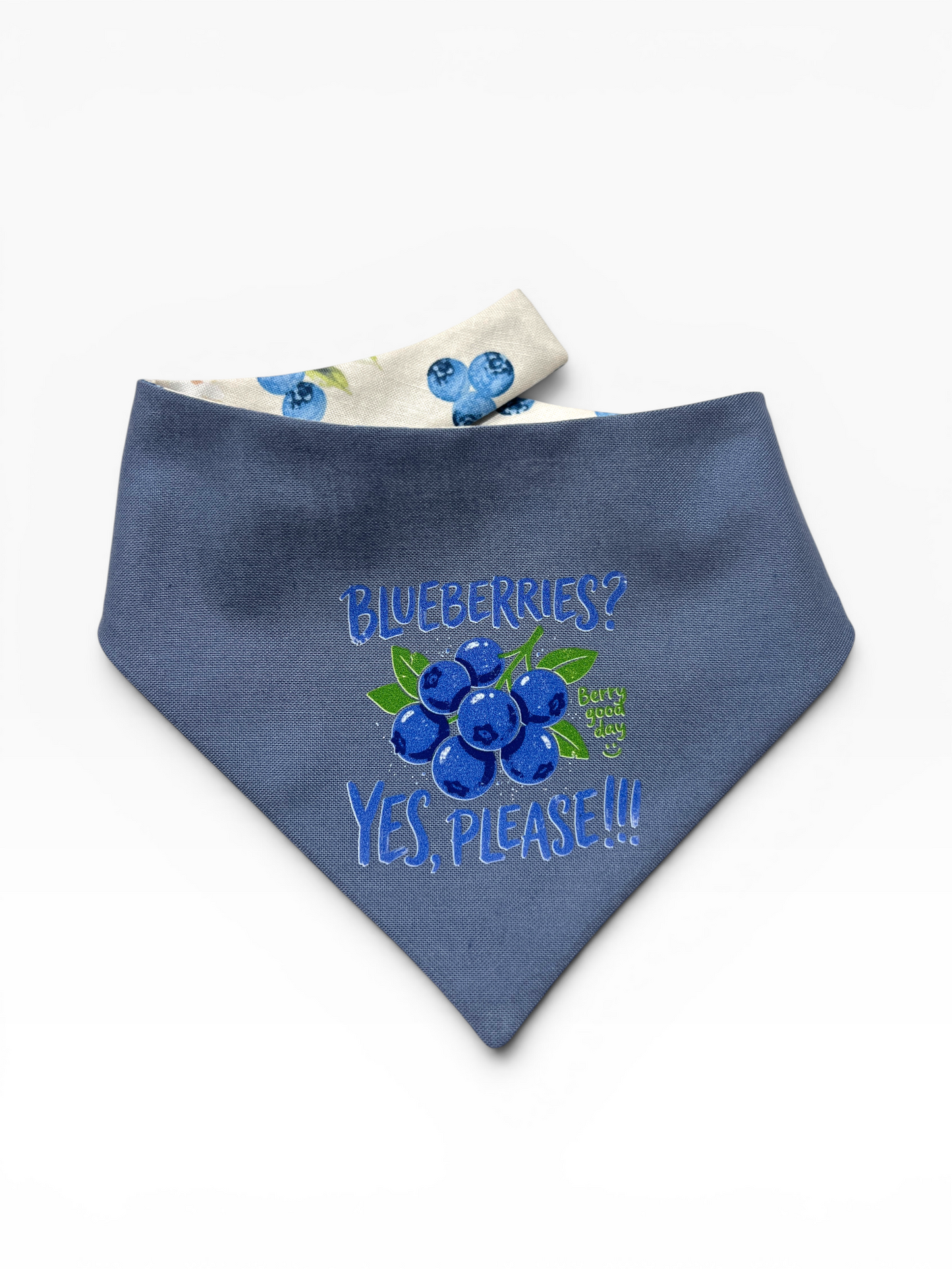 Blueberries Bandana | The Boulevard Vault: Volume 1