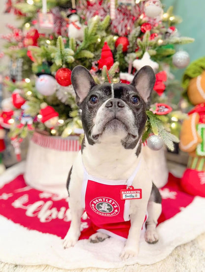 HOLIDAY BARKRISTA PET TAG