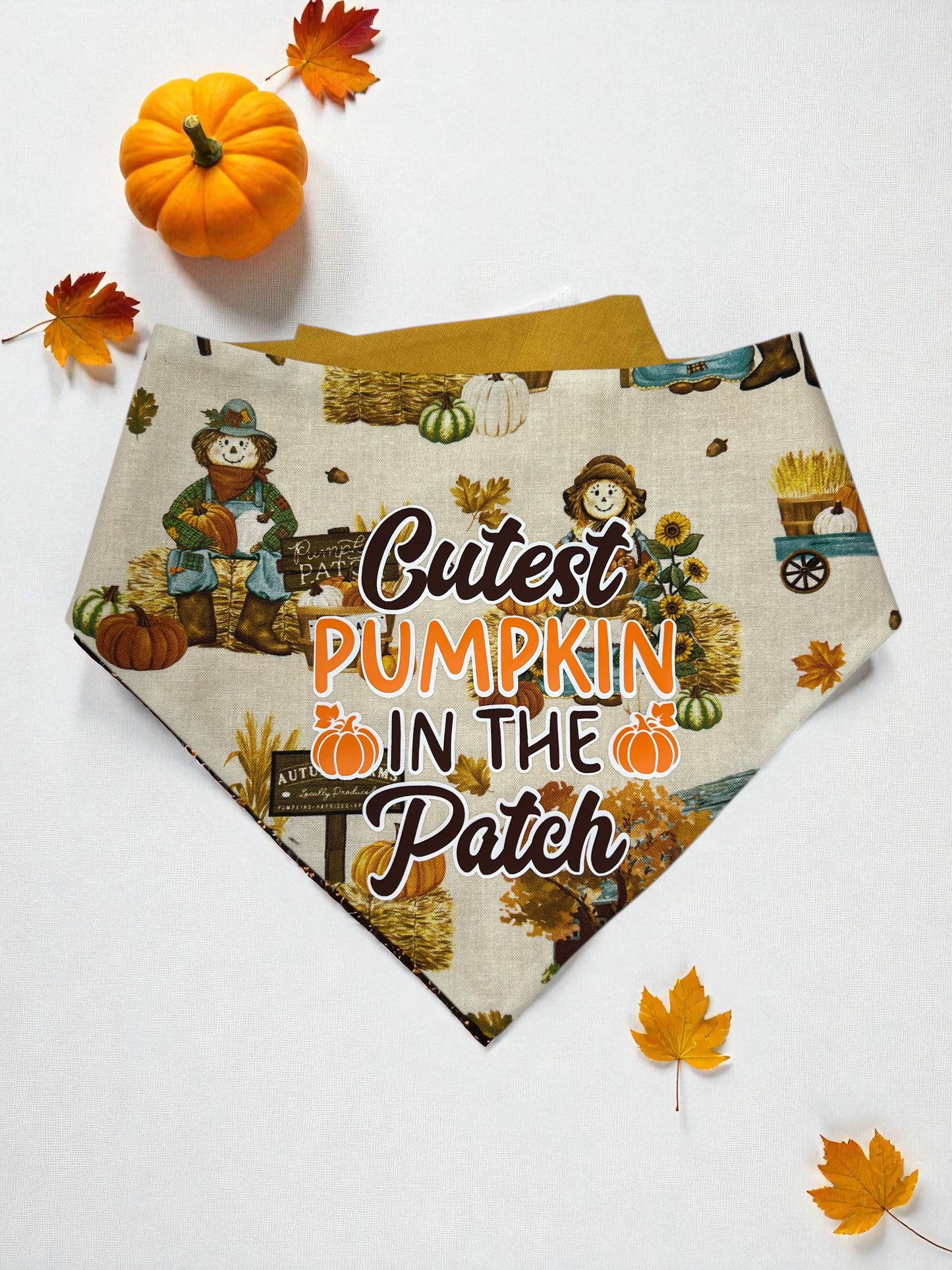 Cutest Pumpkin in the Patch Reversible Bandana | Autumn on The Blvd.: The Mini Edit🍁