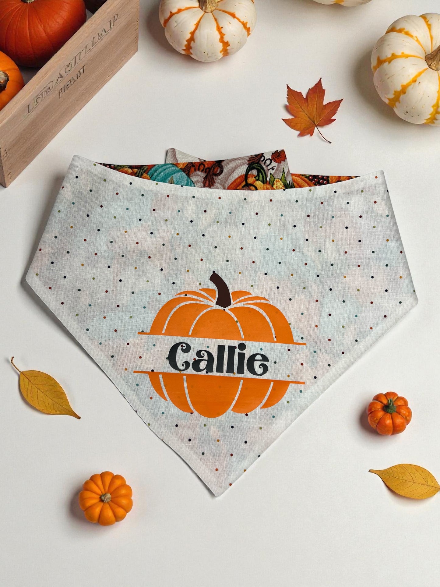 Pumpkin Parade Reversible Bandana | Autumn on The Blvd.: The Mini Edit🍁