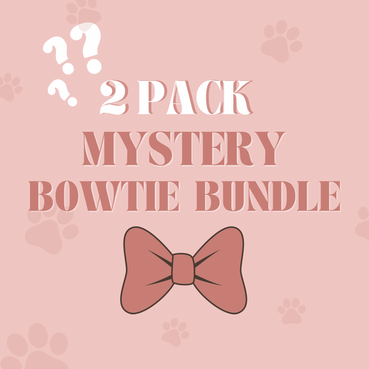 ( 2 Pack ) MYSTERY BOWTIE BUNDLE