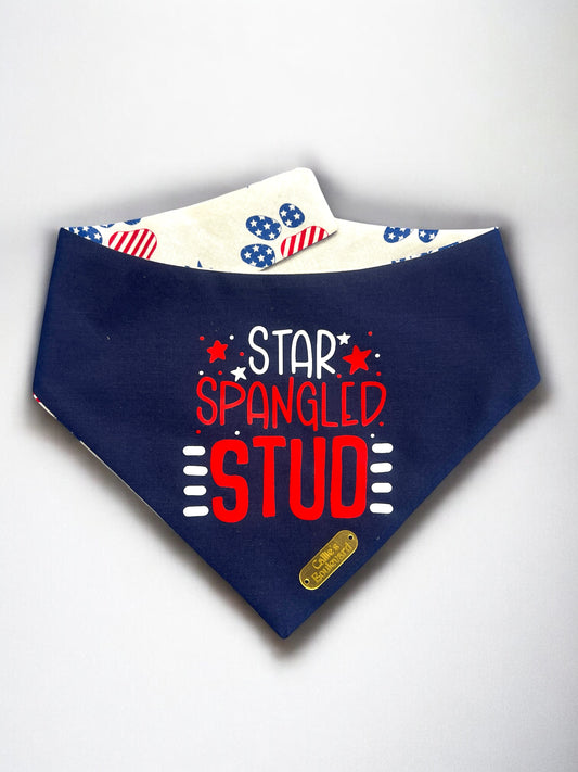 Star Spangled Stud Bandana | Pawty in The USA Collection
