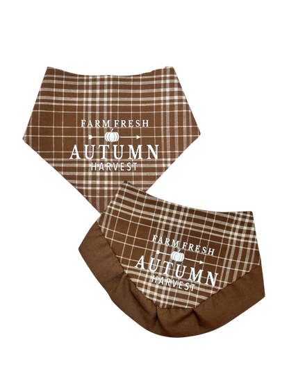 Autumn Harvest Bandana | Autumn Avenue