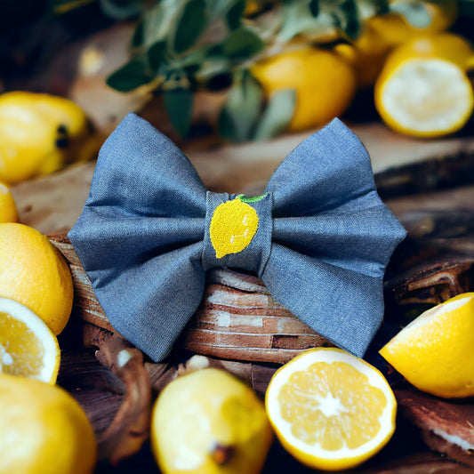 Denim Lemon Bow Tie | Spring Horizons Collection 🍋