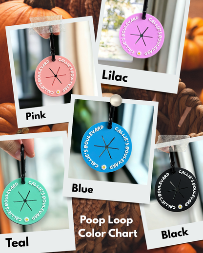 FALL DOG MOM BOO BAG | YOU'VE BEEN BOOED GRAM