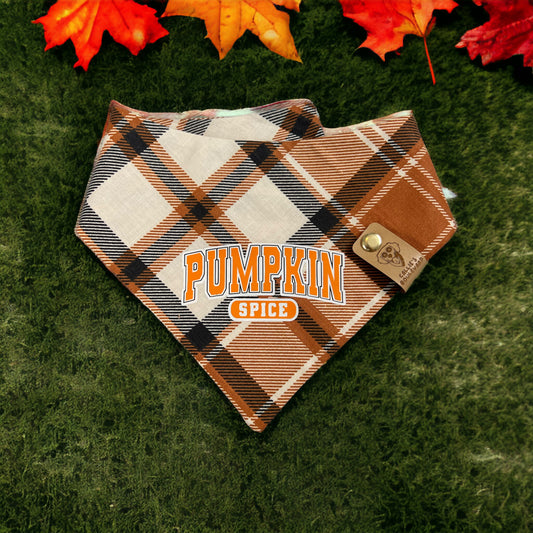 Pumpkin Spice Bandana | Fall Pet Accessories