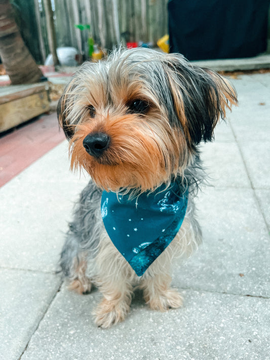 To The Moon and Back Bandana | Pet Accessories