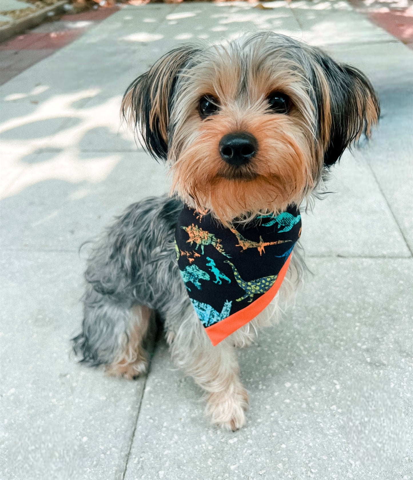 Dinoland Bandana | Pet Accessories