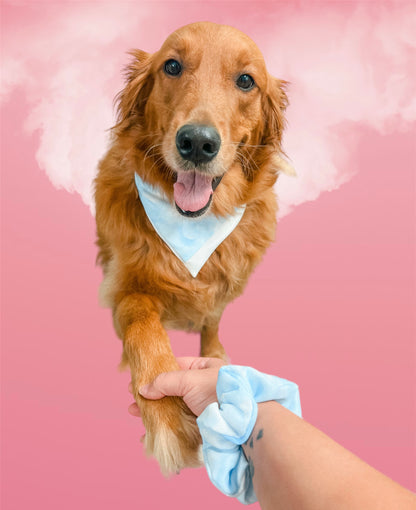 Cloud 9 Bandana + Scrunchie Set | Pet Accessories
