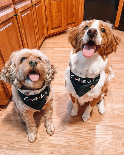 CENTRAL PERK REVERSIBLE BANDANA | FRIENDS