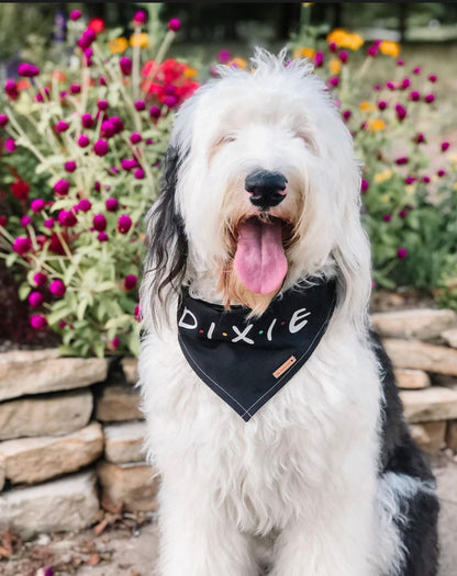 CENTRAL PERK REVERSIBLE BANDANA | FRIENDS